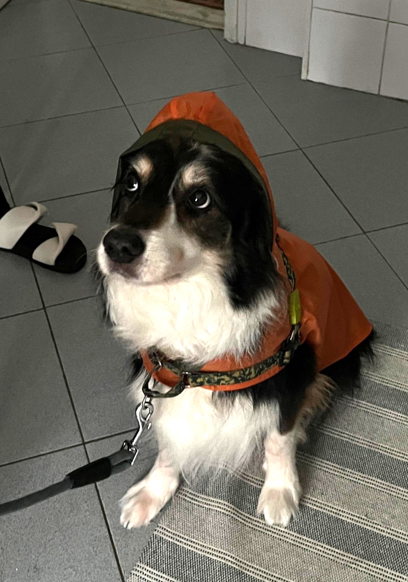 Vale capa de chuva nova