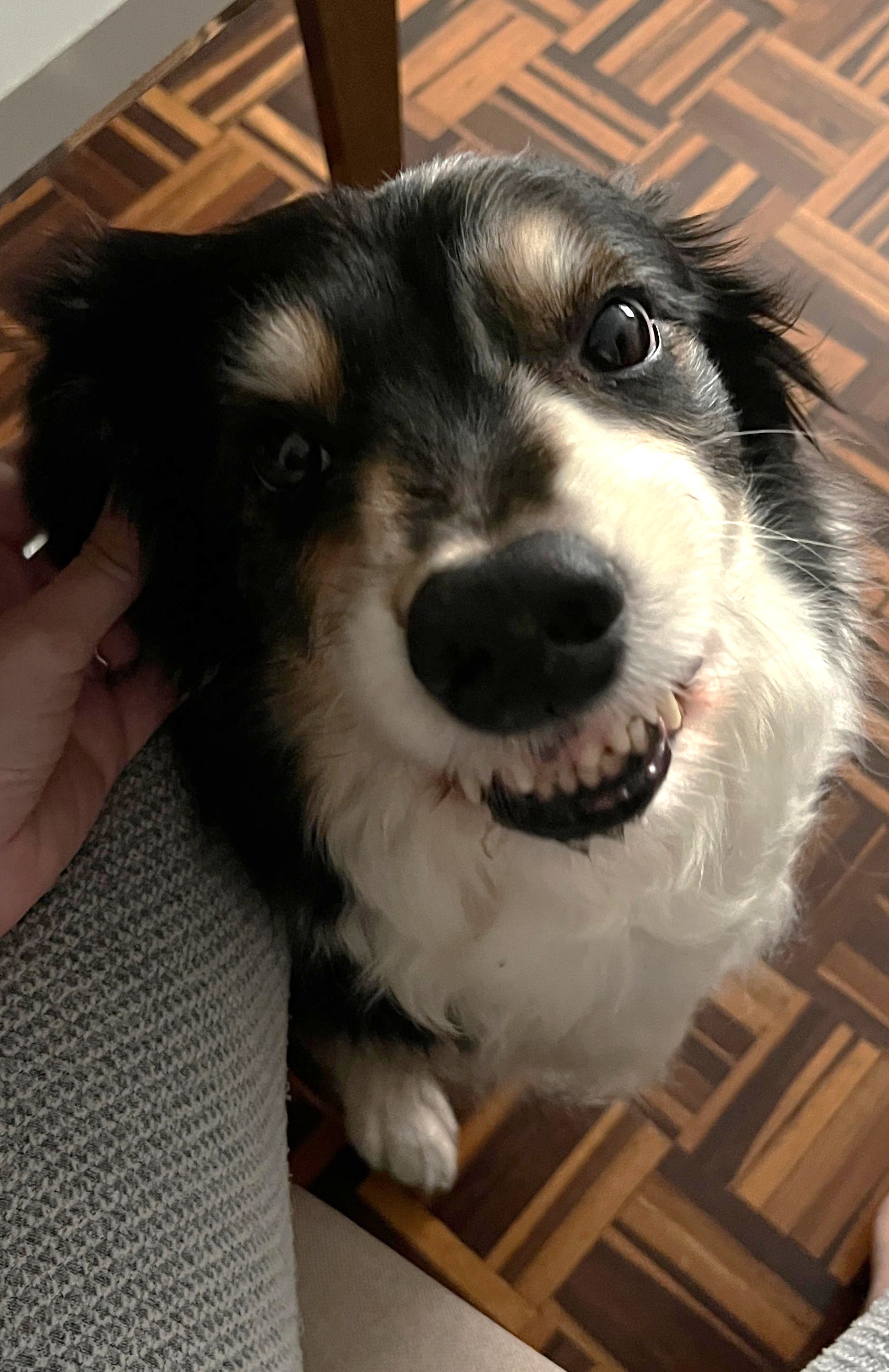 Vale sorrisos ilimitados
